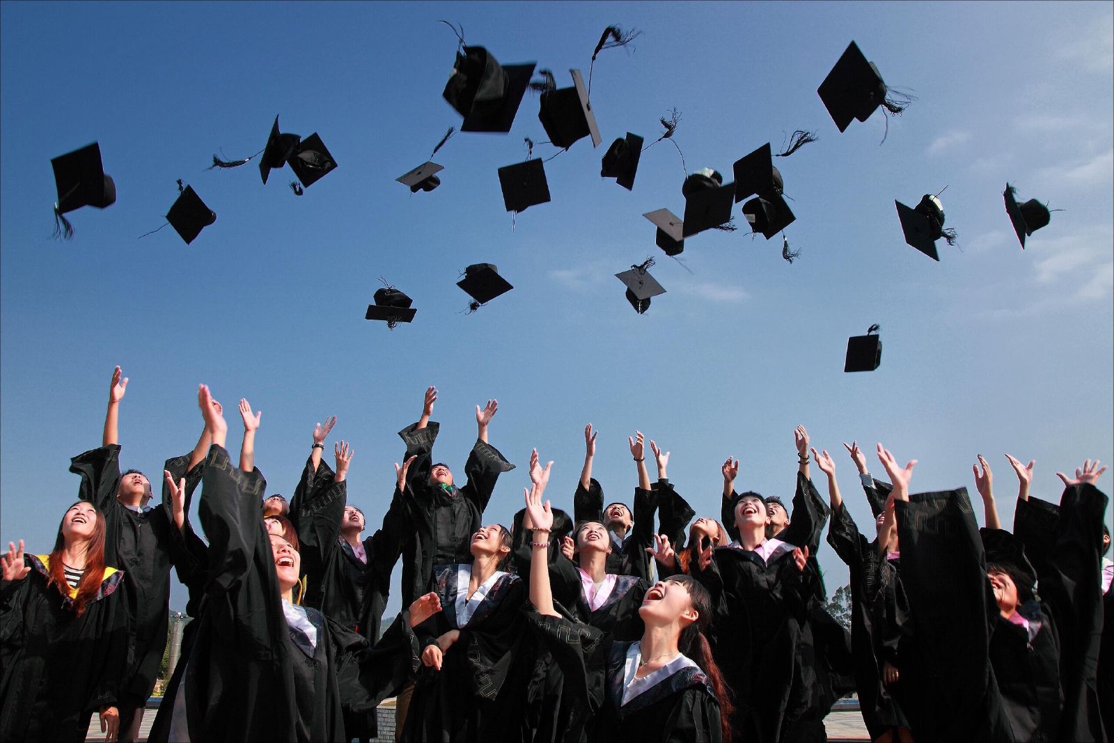 Turn your dream into a degree
